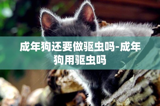 成年狗還要做驅蟲嗎-成年狗用驅蟲嗎