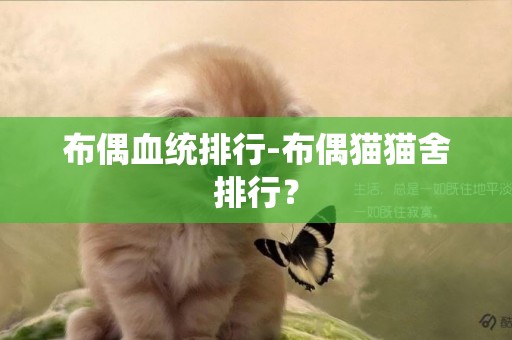 布偶血統排行-布偶貓貓舍排行？