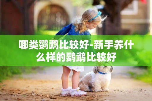 哪類鸚鵡比較好-新手養什么樣的鸚鵡比較好