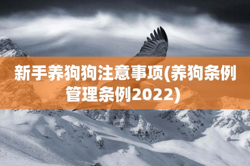 新手養狗狗注意事項(養狗條例管理條例2022) 