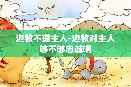 邊牧不理主人-邊牧對主人夠不夠忠誠啊