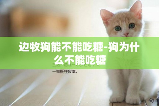 邊牧狗能不能吃糖-狗為什么不能吃糖