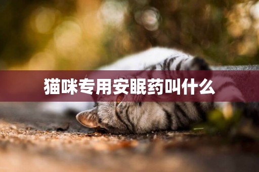 貓咪專用安眠藥叫什么