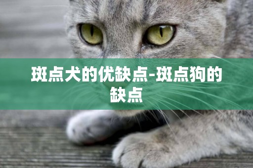 斑點犬的優缺點-斑點狗的缺點