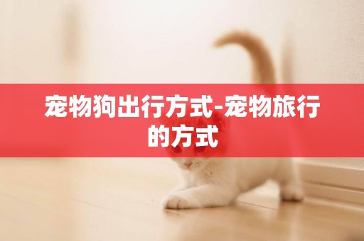 寵物狗出行方式-寵物旅行的方式