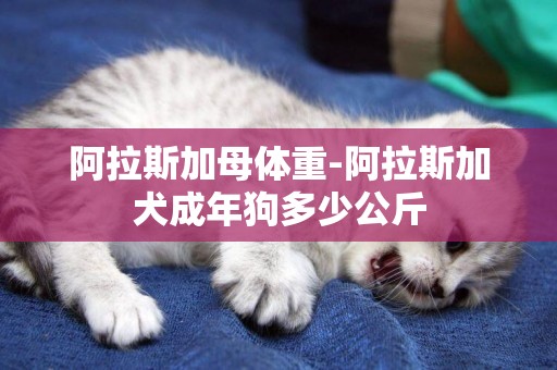 阿拉斯加母體重-阿拉斯加犬成年狗多少公斤