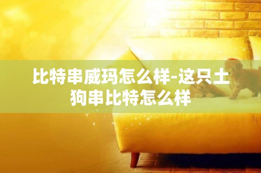 比特串威瑪怎么樣-這只土狗串比特怎么樣