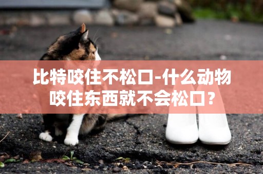 比特咬住不松口-什么動物咬住東西就不會松口？