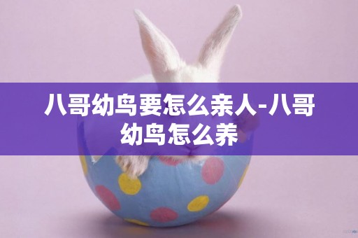 八哥幼鳥要怎么親人-八哥幼鳥怎么養