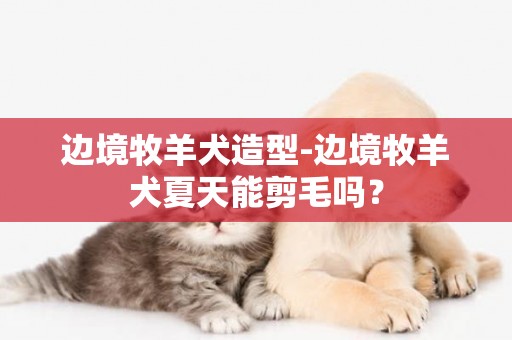 邊境牧羊犬造型-邊境牧羊犬夏天能剪毛嗎？