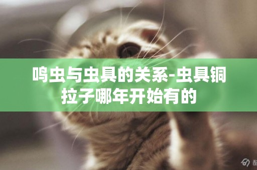 鳴蟲與蟲具的關系-蟲具銅拉子哪年開始有的