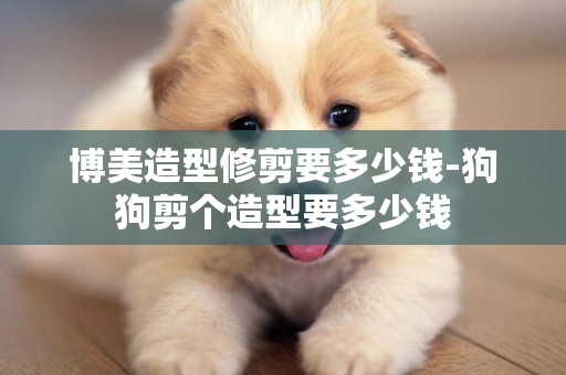博美造型修剪要多少錢-狗狗剪個造型要多少錢
