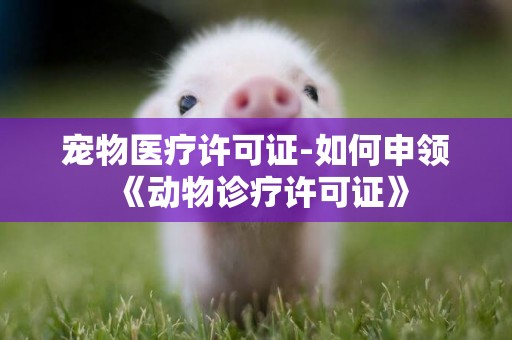 寵物醫療許可證-如何申領《動物診療許可證》