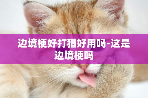 邊境梗好打獵好用嗎-這是邊境梗嗎