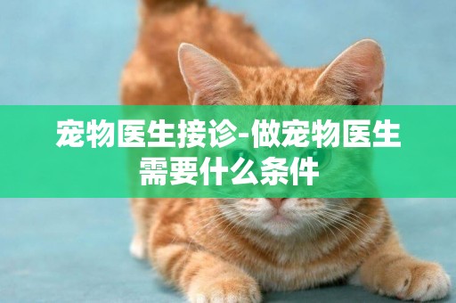 寵物醫生接診-做寵物醫生需要什么條件