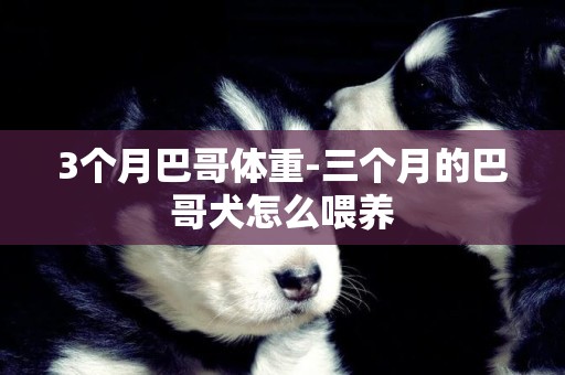3個月巴哥體重-三個月的巴哥犬怎么喂養
