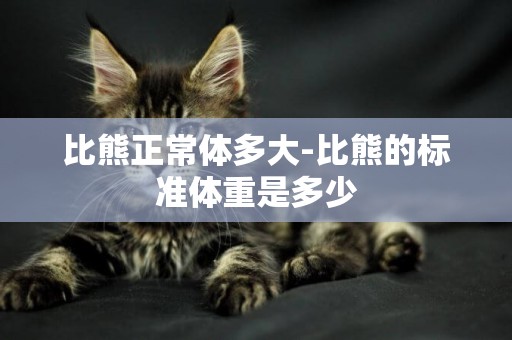比熊正常體多大-比熊的標準體重是多少