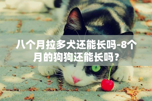 八個月拉多犬還能長嗎-8個月的狗狗還能長嗎？