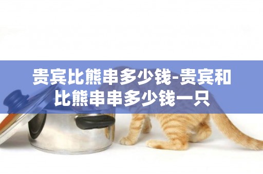 貴賓比熊串多少錢-貴賓和比熊串串多少錢一只