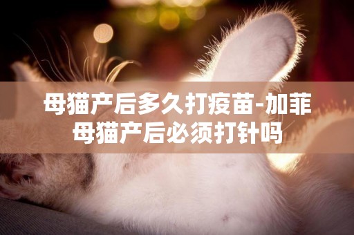 母貓產后多久打疫苗-加菲母貓產后必須打針嗎