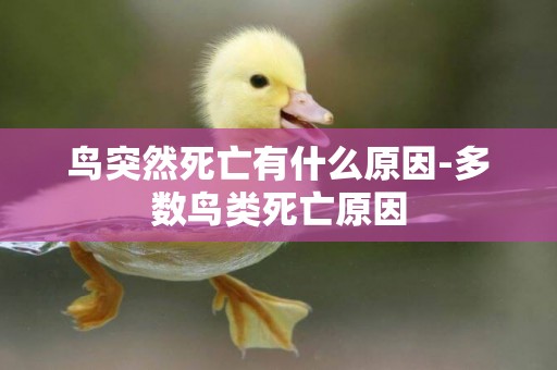 鳥突然死亡有什么原因-多數鳥類死亡原因