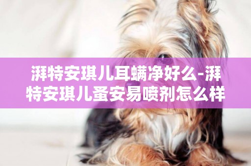 湃特安琪兒耳螨凈好么-湃特安琪兒蚤安易噴劑怎么樣