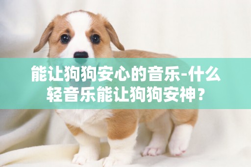 能讓狗狗安心的音樂-什么輕音樂能讓狗狗安神？