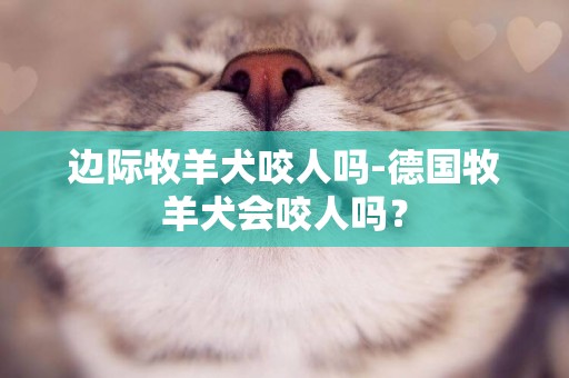 邊際牧羊犬咬人嗎-德國牧羊犬會咬人嗎？