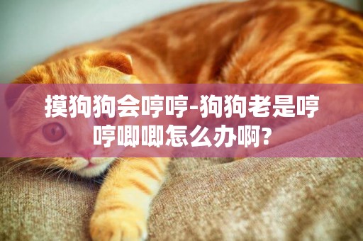 摸狗狗會哼哼-狗狗老是哼哼唧唧怎么辦啊?