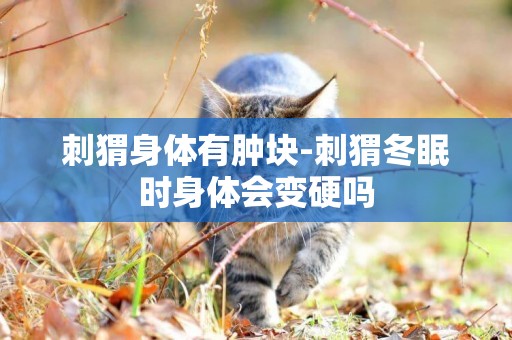 刺猬身體有腫塊-刺猬冬眠時身體會變硬嗎