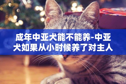 成年中亞犬能不能養-中亞犬如果從小時候養了對主人怎么樣