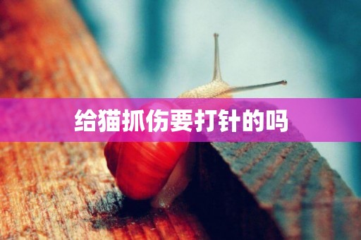 給貓抓傷要打針的嗎