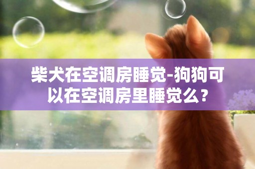 柴犬在空調房睡覺-狗狗可以在空調房里睡覺么？