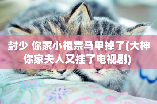封少 你家小祖宗馬甲掉了(大神你家夫人又掛了電視劇) 