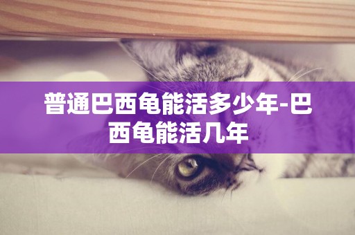 普通巴西龜能活多少年-巴西龜能活幾年