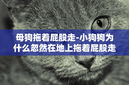 母狗拖著屁股走-小狗狗為什么忽然在地上拖著屁股走