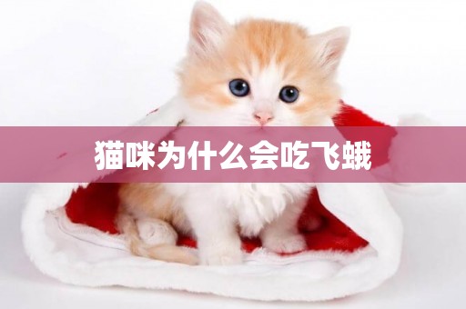 貓咪為什么會吃飛蛾