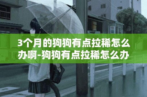 3個月的狗狗有點拉稀怎么辦啊-狗狗有點拉稀怎么辦！
