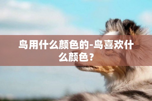 鳥用什么顏色的-鳥喜歡什么顏色？