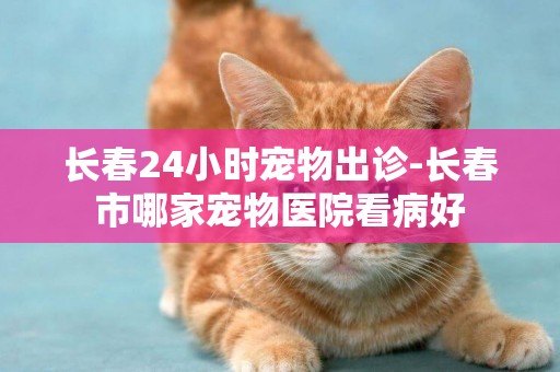 長春24小時寵物出診-長春市哪家寵物醫院看病好