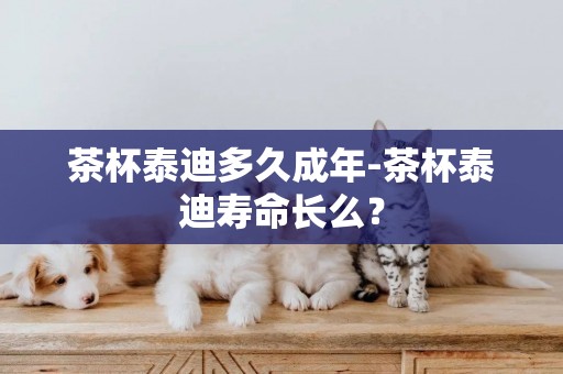 茶杯泰迪多久成年-茶杯泰迪壽命長么？