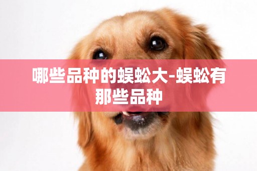 哪些品種的蜈蚣大-蜈蚣有那些品種
