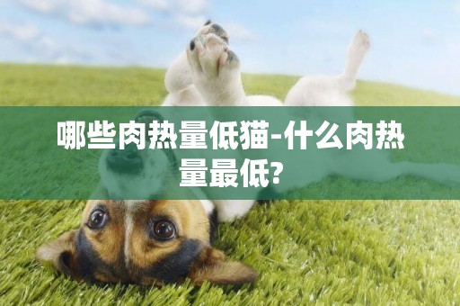 哪些肉熱量低貓-什么肉熱量最低?
