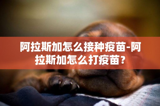 阿拉斯加怎么接種疫苗-阿拉斯加怎么打疫苗？