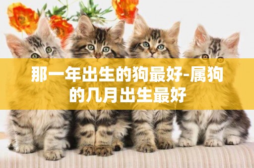 那一年出生的狗最好-屬狗的幾月出生最好