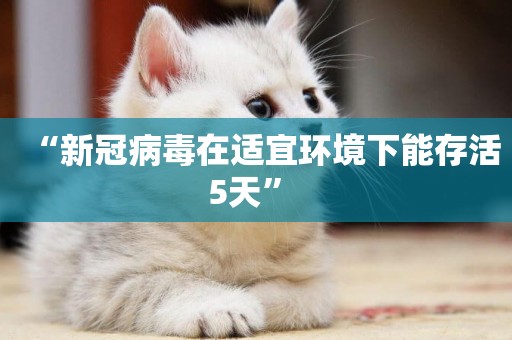 “新冠病毒在適宜環境下能存活5天” 