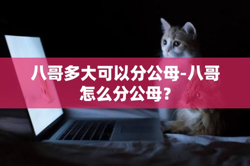 八哥多大可以分公母-八哥怎么分公母？