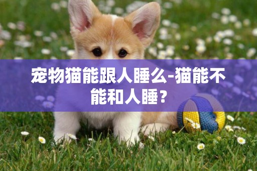 寵物貓能跟人睡么-貓能不能和人睡？