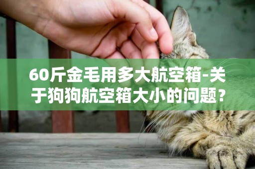 60斤金毛用多大航空箱-關于狗狗航空箱大小的問題？
