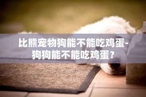 比熊寵物狗能不能吃雞蛋-狗狗能不能吃雞蛋？